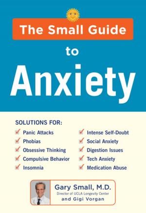 Book cover of The Small Guide to Anxiety