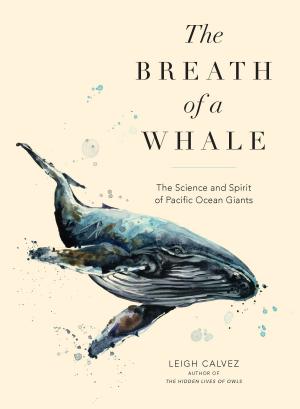 Cover of the book The Breath of a Whale by Becky Selengut