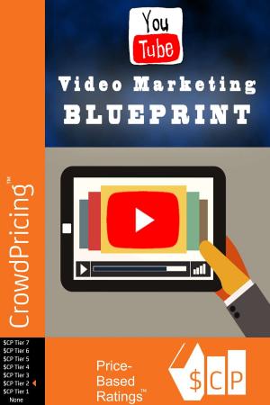 Cover of Video Marketing Blueprint: Discover The Easy and Proven Secret Formula For Generating Massive Income Using The Power of Video Marketing For Your Business!