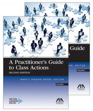 bigCover of the book A Practitioner’s Guide to Class Actions by 