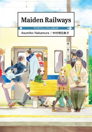 Book cover of Maiden Railways