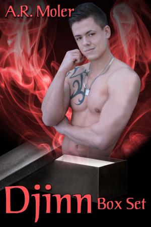 Cover of the book Djinn Box Set by J.D. Walker