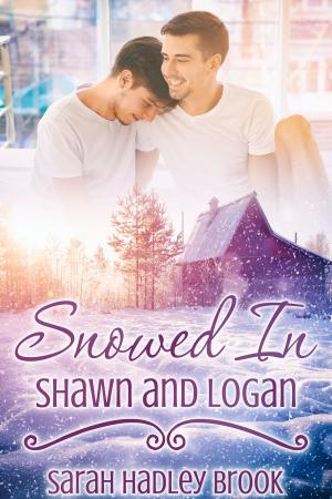 Cover of the book Snowed In: Shawn and Logan by A.R. Moler