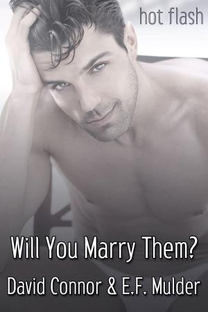 bigCover of the book Will You Marry Them? by 