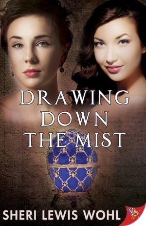 Cover of the book Drawing Down the Mist by D. Jackson Leigh