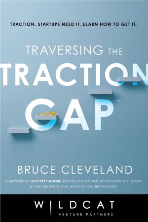 Cover of the book Traversing the Traction Gap by Steve Bareham