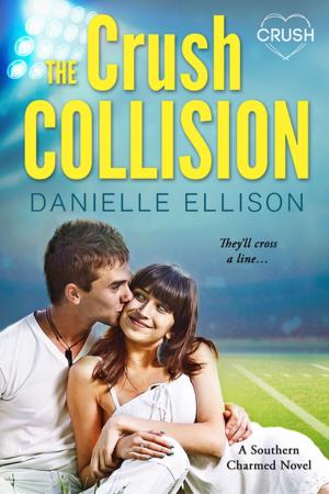 Cover of the book The Crush Collision by Kendra C. Highley