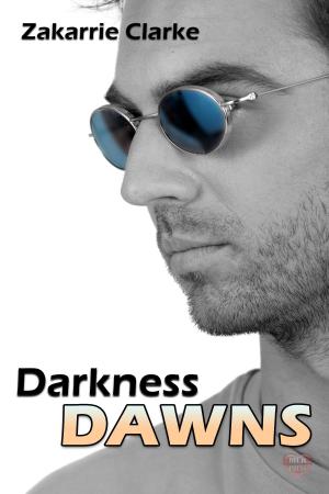 Cover of the book Darkness Dawns by William Maltese