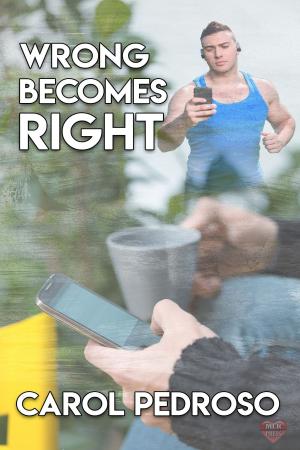 Cover of the book Wrong Becomes Right by Kaje Harper
