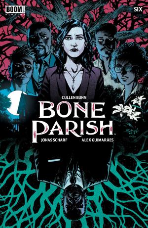 Book cover of Bone Parish #6