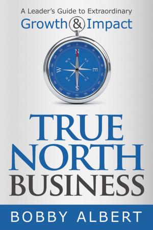 Cover of the book True North Business by Jun Echevarria, Bob Serrano