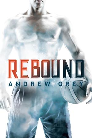 Cover of the book Rebound by J.S. Cook