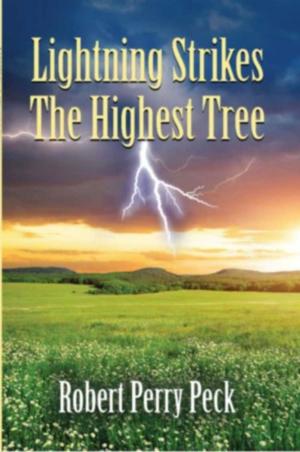 Cover of the book Lightning Strikes The Highest Tree by Wendy Jones, Liliana Bordoni