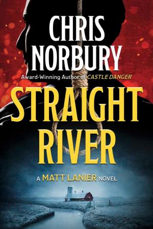 Cover of the book Straight River by Rusty A. Lang