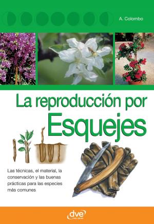 Cover of the book La reproducción por esquejes by Charles Bayet