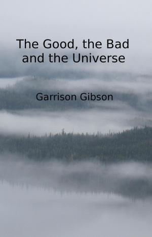 Book cover of The Good, the Bad and the Universe