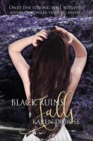 Cover of the book Black Ruins Falls by Lisa Colodny