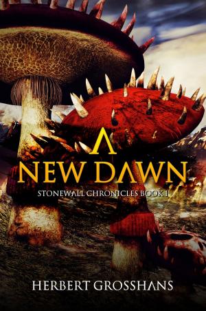 Cover of the book A New Dawn by Tara Fox Hall