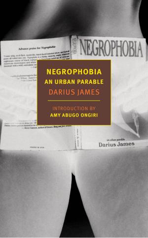 Cover of the book Negrophobia by Gregor von Rezzori