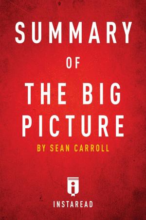 Cover of the book Summary of The Big Picture by Instaread Summaries