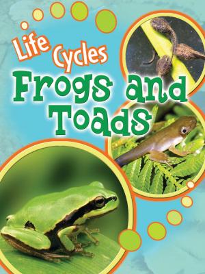 Cover of the book Frogs and Toads by Kay Robertson