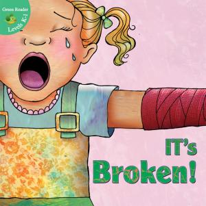 Cover of the book It's Broken! by Rebecca E. Hirsch