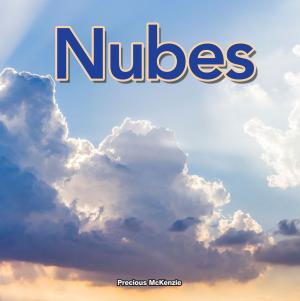 Cover of the book Nubes by Alicia Klepeis