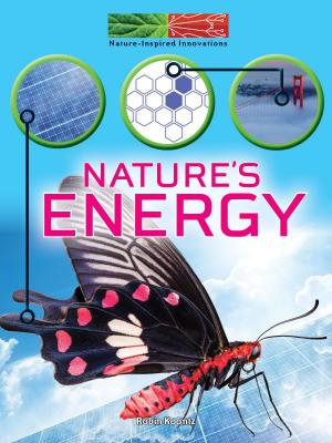 Cover of the book Nature's Energy by Lin Picou