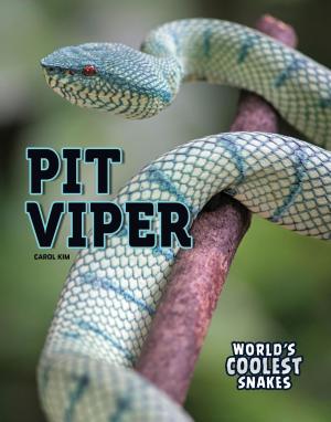 Cover of the book Pit Viper by Meg Greve