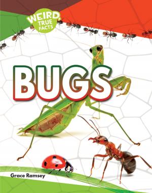 Cover of the book Bugs by E. G. Walker