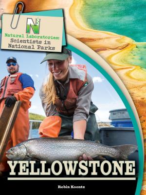 Cover of the book Natural Laboratories: Scientists in National Parks Yellowstone by Kelli Hicks
