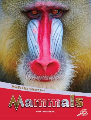 Cover of the book Animals Have Classes Too! Mammals by Ann Matzke