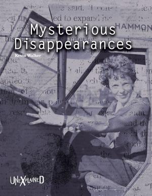 Book cover of Unexplained Mysterious Disappearances