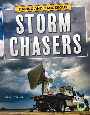 Book cover of Daring and Dangerous Storm Chasers
