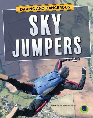 Book cover of Daring and Dangerous Sky Jumpers