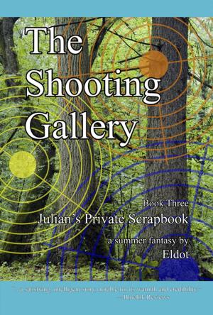 Cover of the book The Shooting Gallery by Gillian St. Kevern