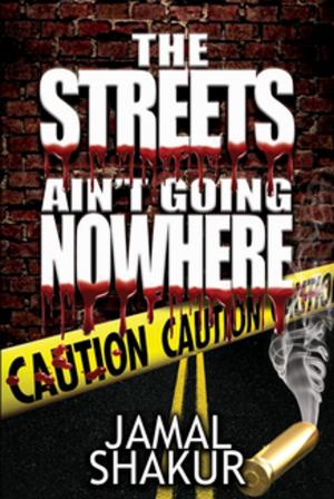 Cover of the book The Streets Ain't Going Nowhere by David Weaver