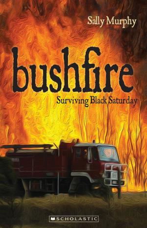 Cover of the book Bushfire by William Bertram