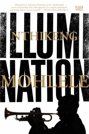 Cover of the book Illumination by Matthew Hall