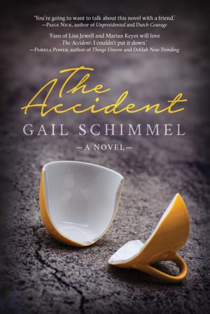 Cover of the book The Accident by Cathy Rentzenbrink