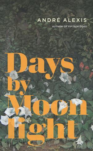 bigCover of the book Days by Moonlight by 