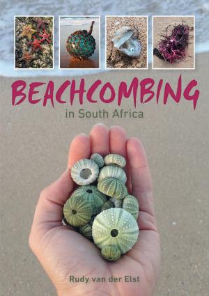 Cover of the book Beachcombing in South Africa by Jan Hendrik van der Westhuizen