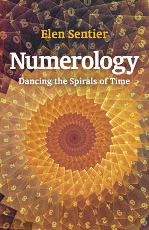 Cover of the book Numerology by Autumn Rosen