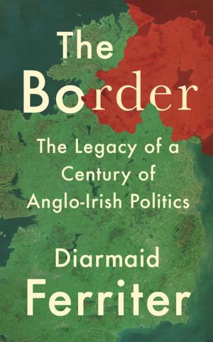 Cover of the book The Border by David Runciman