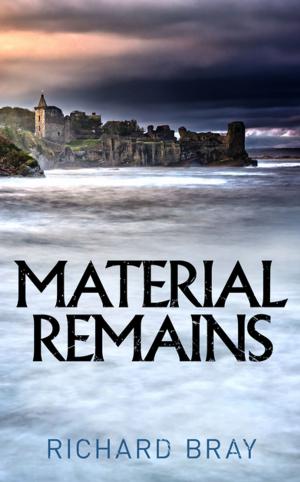 Cover of the book Material Remains by Robert Llewellyn