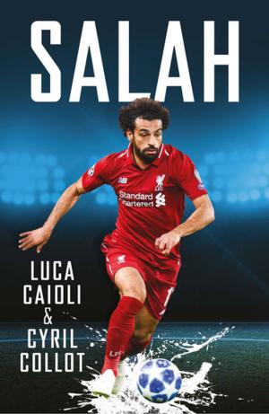 Cover of the book Salah by Andrew Nahum