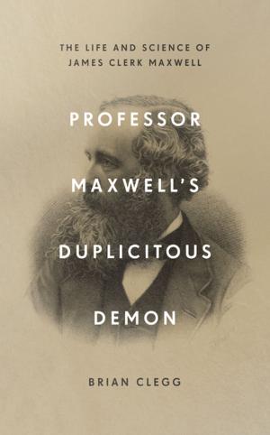 Cover of the book Professor Maxwell’s Duplicitous Demon by John Henry