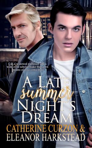 bigCover of the book A Late Summer Night's Dream by 