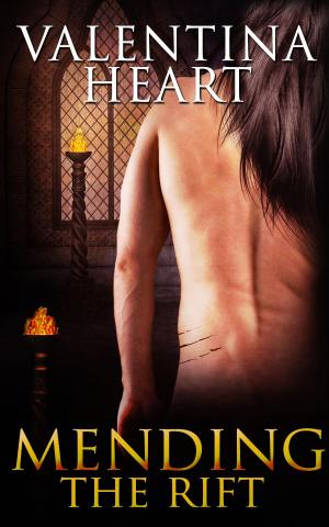 Cover of the book Mending the Rift: A Box Set: A Box Set by Devon Rhodes