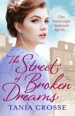Book cover of The Street of Broken Dreams